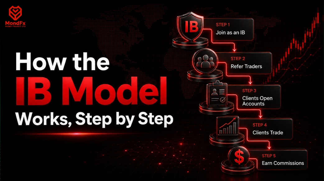 How the IB Model Works, Step by Step