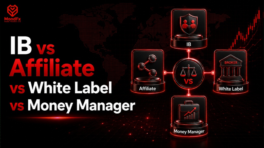 IB vs Affiliate vs White Label vs Money Manager